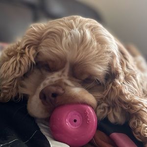 Meet your Posher, Tiffany